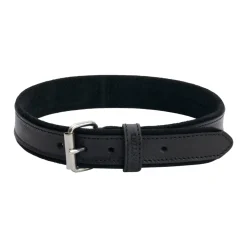 Collare per cane in pelle Regal