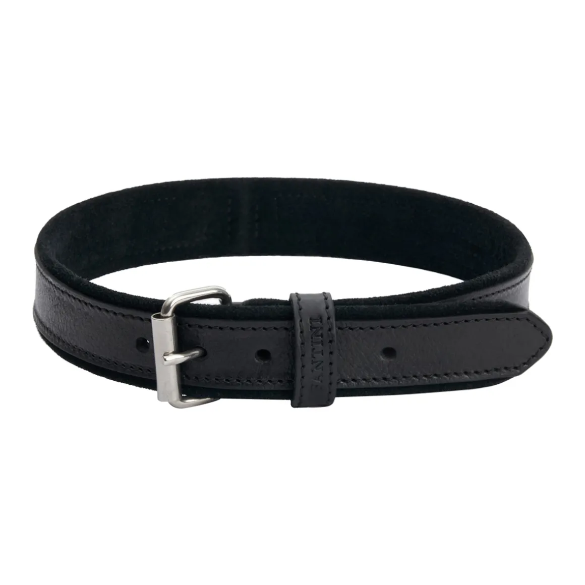 Collare per cane in pelle Regal