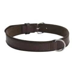 Collare per cane in pelle Regal