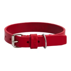 Collare per cane in pelle Essential