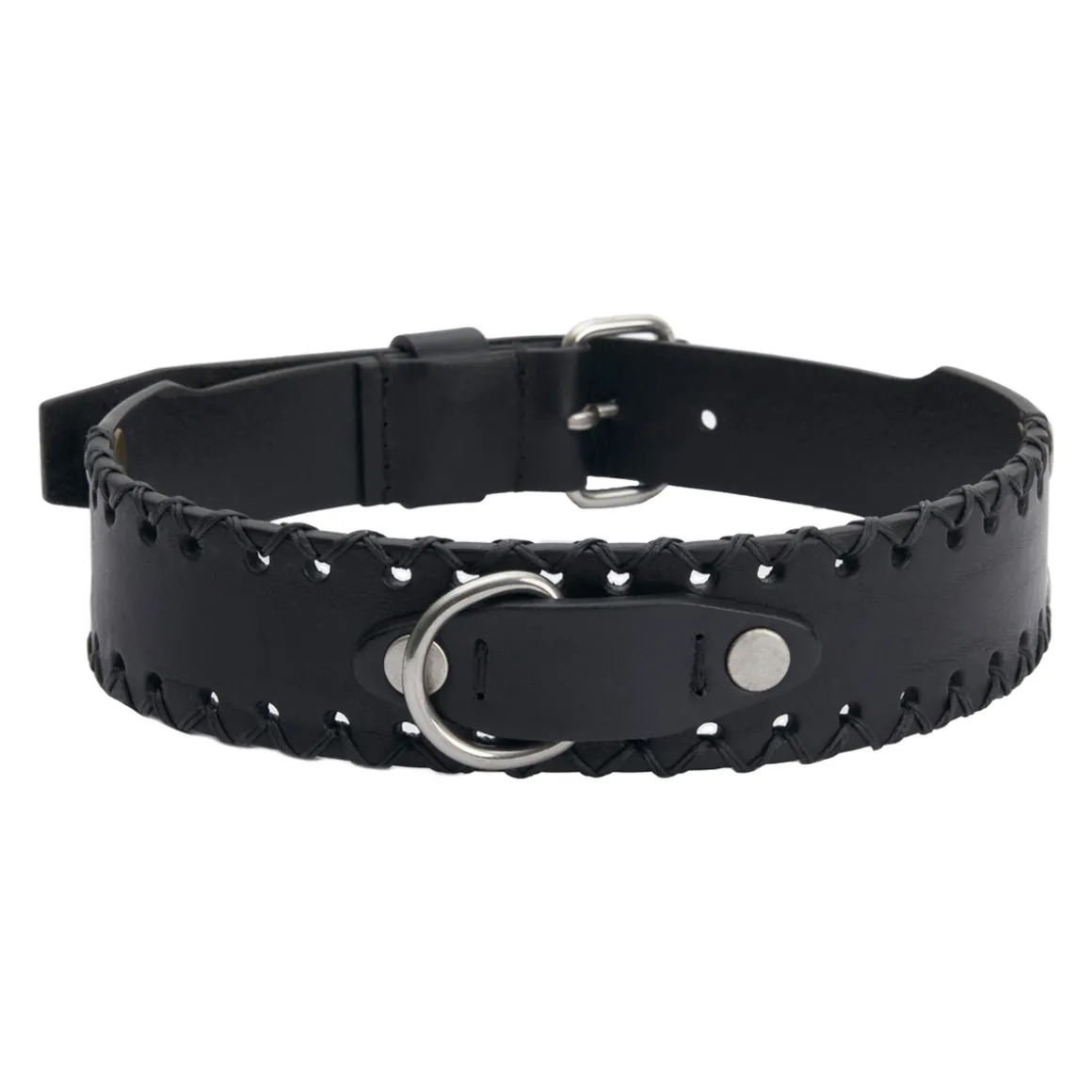 Collare per cane in pelle Titano