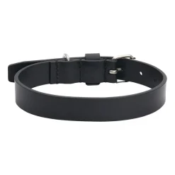 Collare per cane in pelle Essential