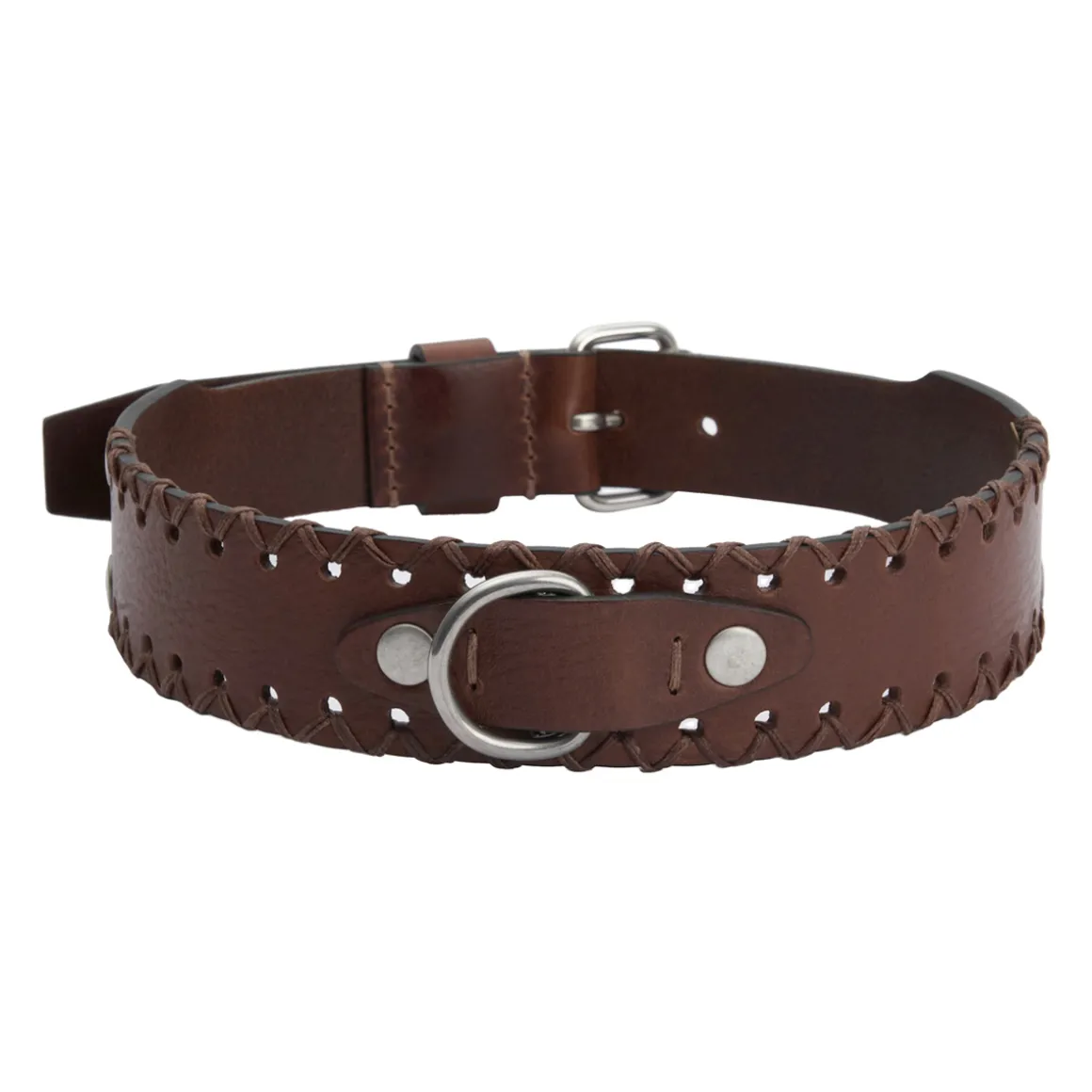 Collare per cane in pelle Titano
