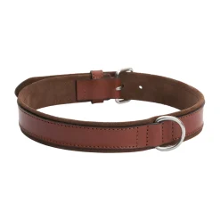 Collare per cane in pelle Regal