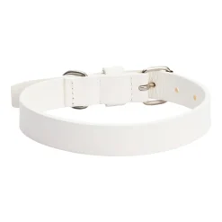 Collare per cane in pelle Essential